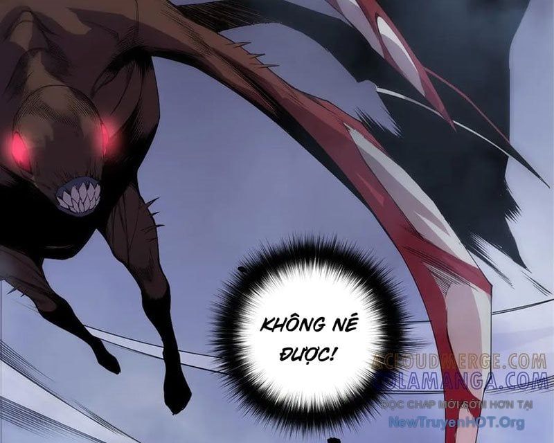 Thảm Họa Tử Linh Sư Chap 204 - Next Chap 205