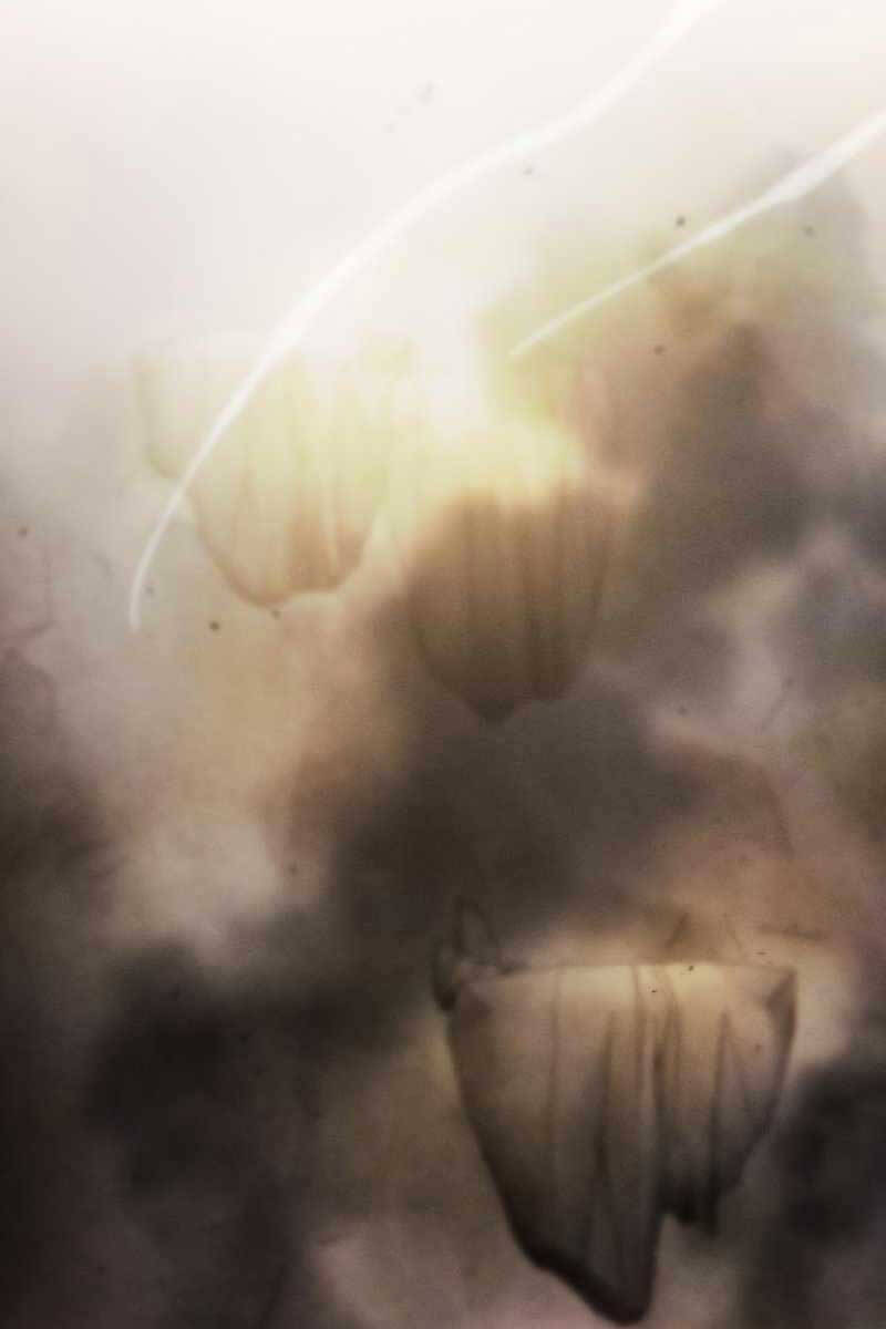 Kiếm Sĩ Thiên Tài Của Học Viện Chap 28 - Next Chap 29