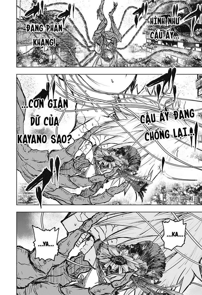 Wild Strawberry Chap 5 - Next Chap 6