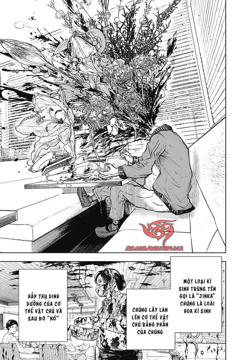 Wild Strawberry Chap 1 - Next Chap 2