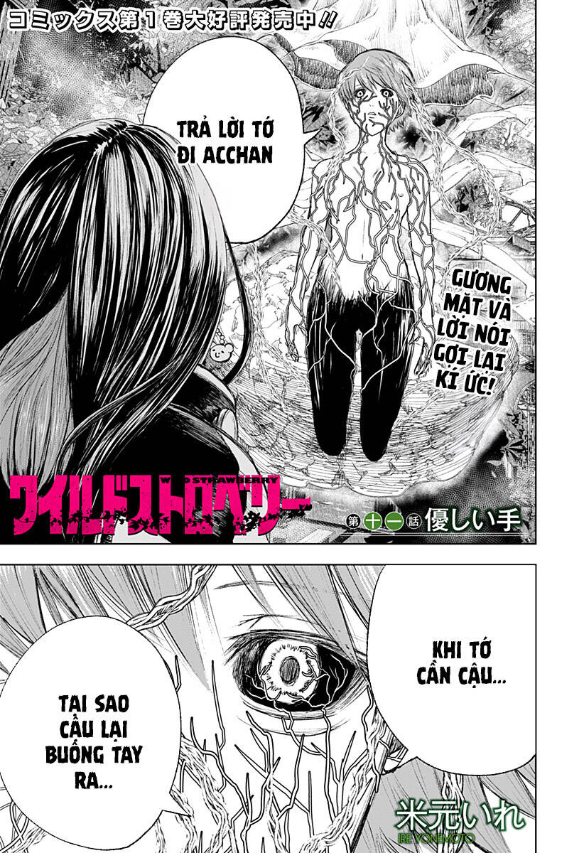Wild Strawberry Chap 11 - Next Chap 12