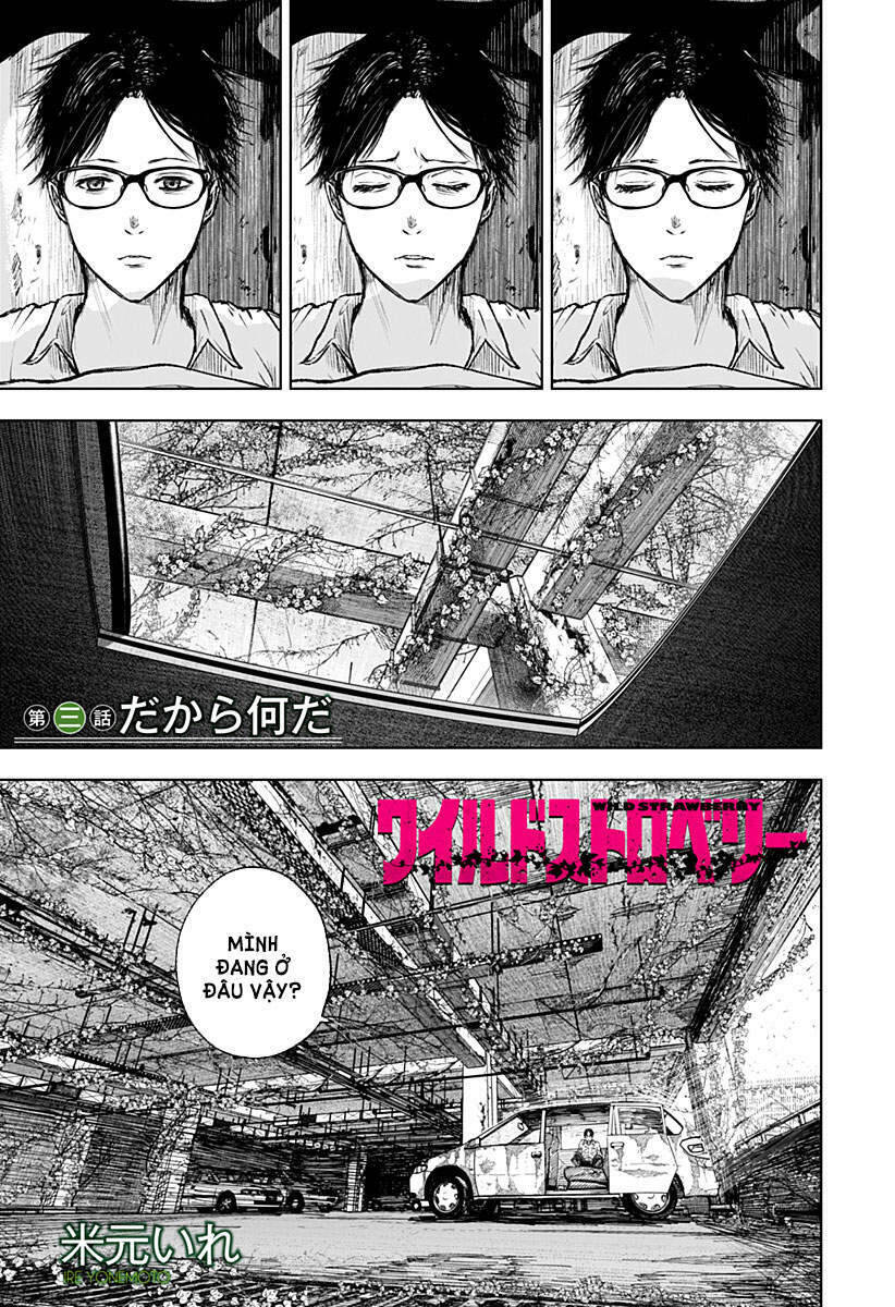 Wild Strawberry Chap 3 - Next Chap 4