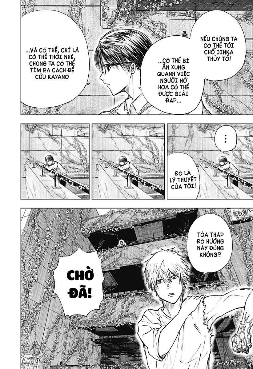 Wild Strawberry Chap 3 - Next Chap 4