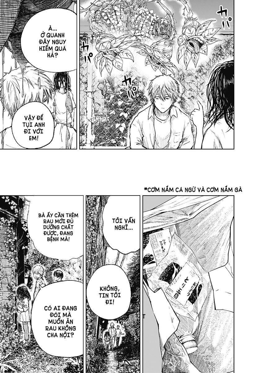 Wild Strawberry Chap 3 - Next Chap 4