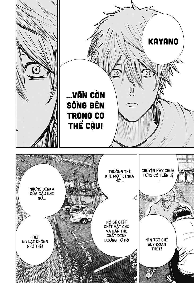 Wild Strawberry Chap 3 - Next Chap 4