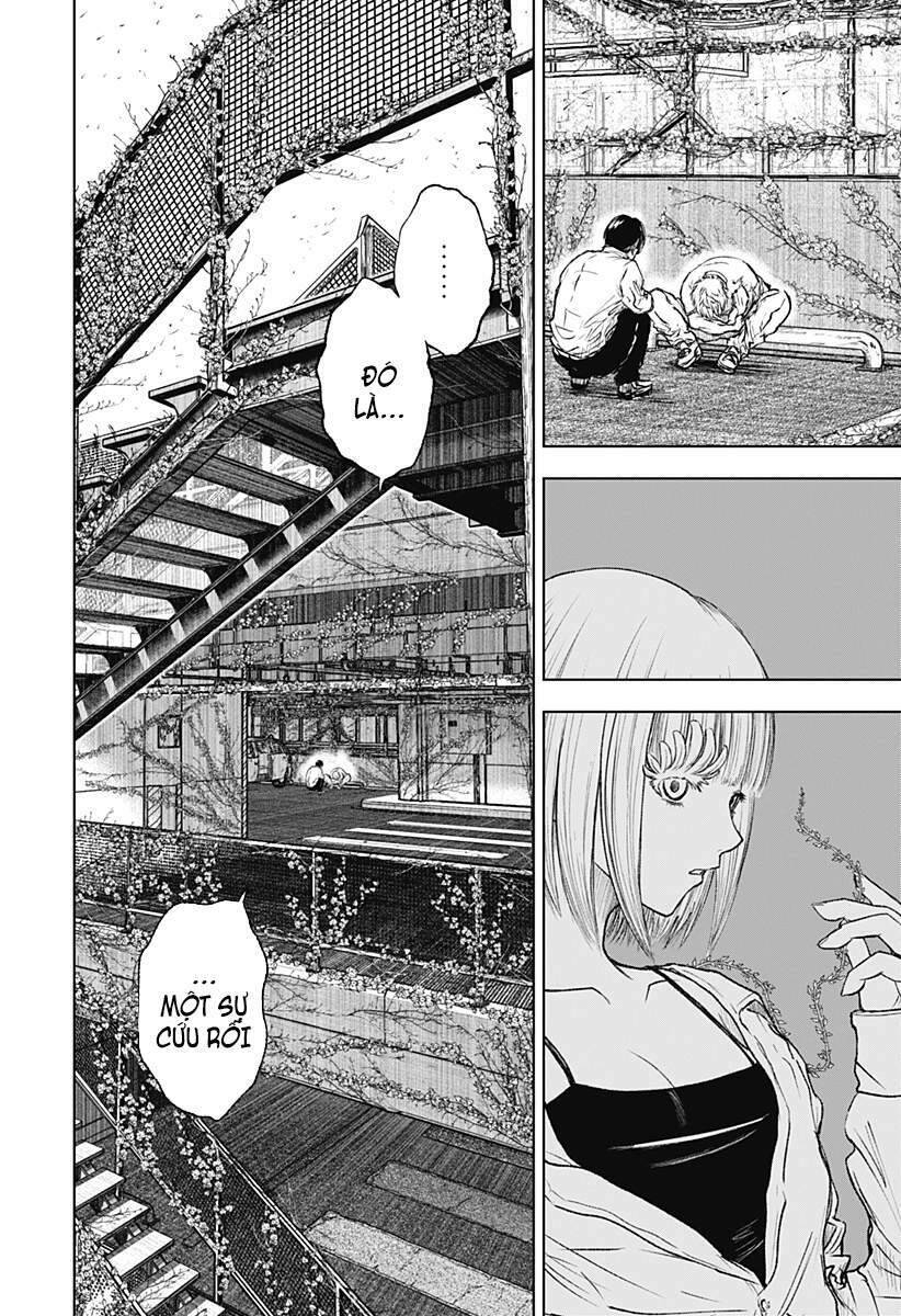 Wild Strawberry Chap 3 - Next Chap 4