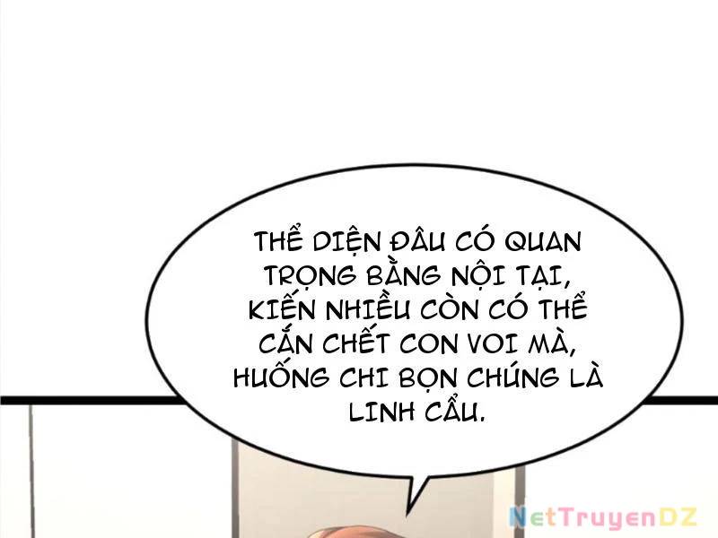 Toàn Cầu Băng Phong: Ta Chế Tạo Phòng An Toàn Tại Tận Thế Chap 541 - Next Chap 542