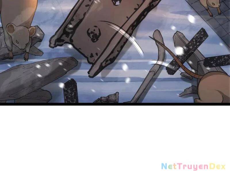 Toàn Cầu Băng Phong: Ta Chế Tạo Phòng An Toàn Tại Tận Thế Chap 555 - Next Chap 556