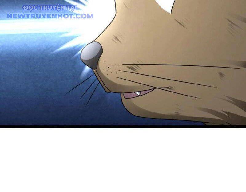 Toàn Cầu Băng Phong: Ta Chế Tạo Phòng An Toàn Tại Tận Thế Chap 566 - Next Chap 567