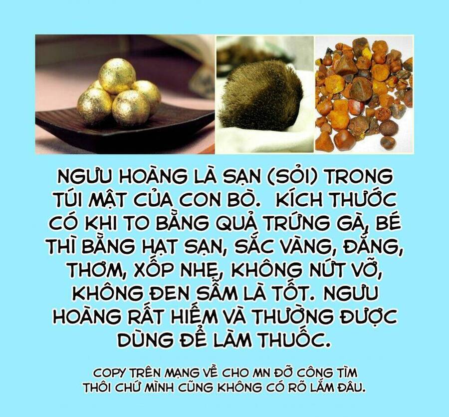 Độc Thoại Của Người Dược Sĩ Chap 40 - Next Chap 41