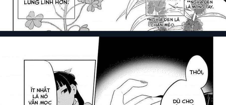 Độc Thoại Của Người Dược Sĩ Chap 36.2 - Next Chap 37.2