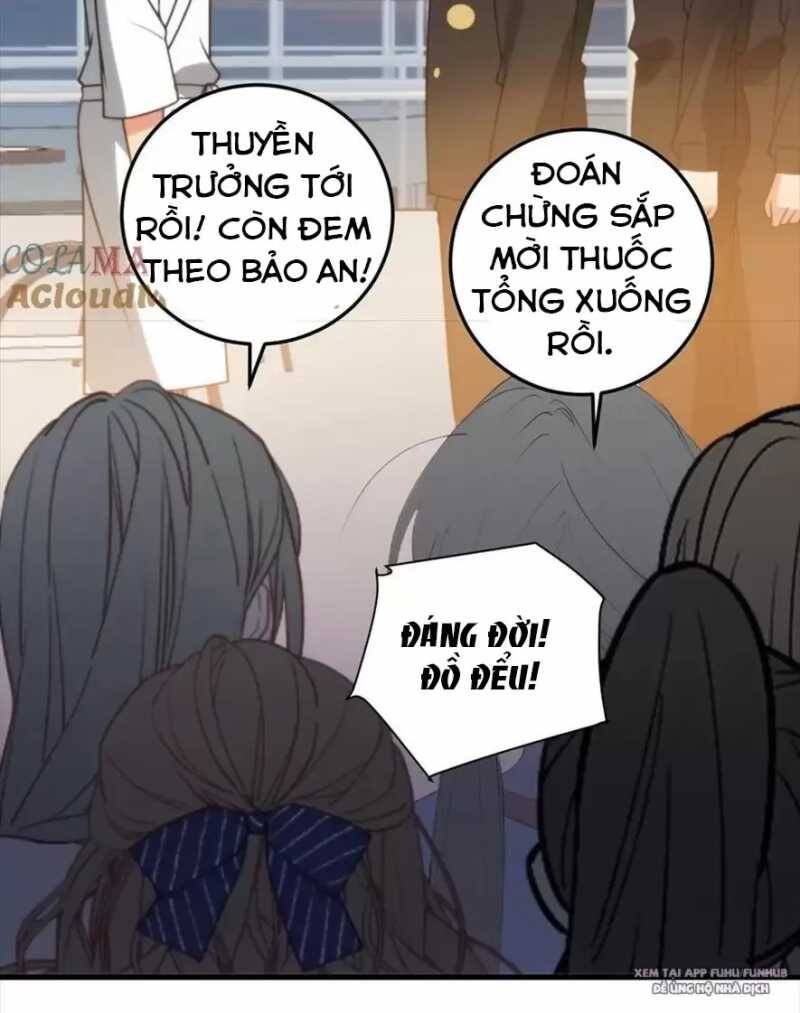 Ta Có 90 Tỷ Tiền Liếm Cẩu! Chap 265 - Next Chap 266