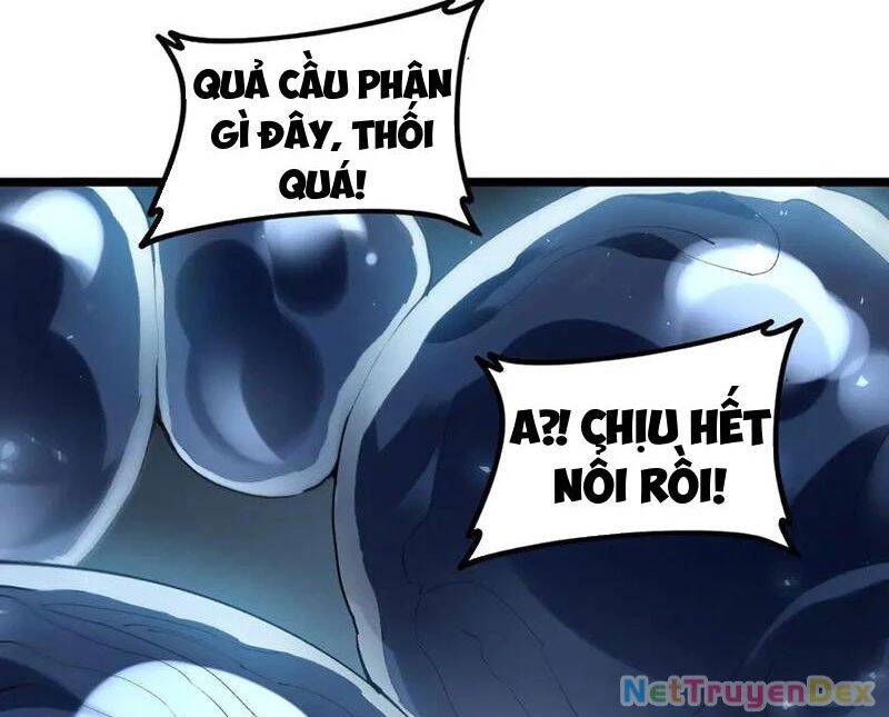 Ta Là Chúa Tể Trùng Độc Chap 40 - Next Chap 41