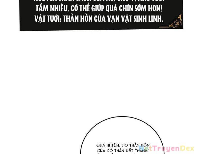 Ta Là Chúa Tể Trùng Độc Chap 40 - Next Chap 41
