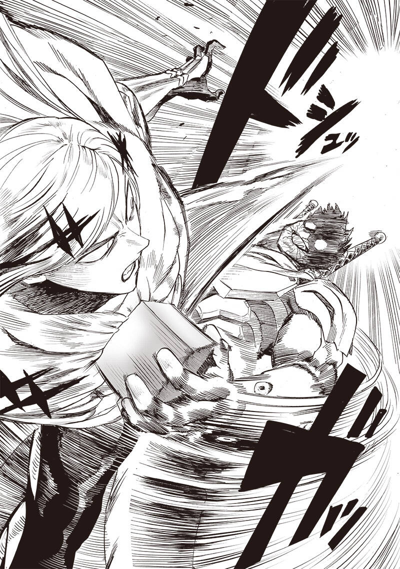 Onepunch Man Chap 255 - Next Chap 256