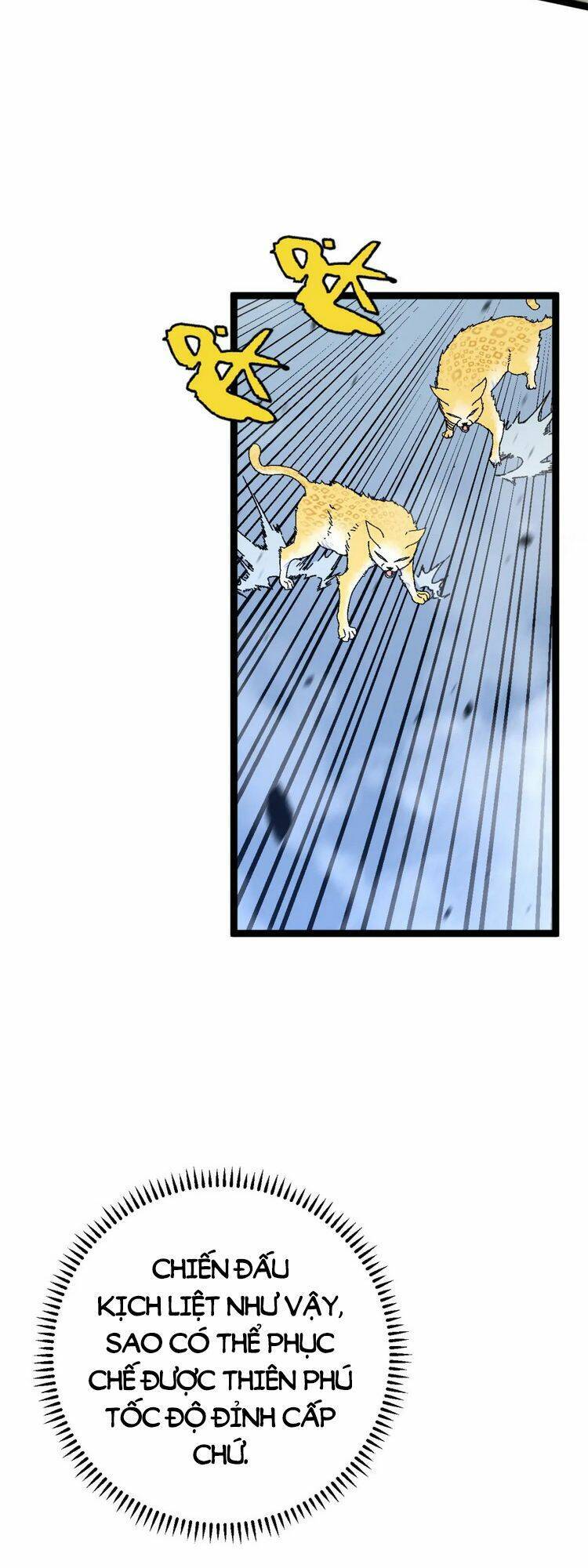 Thiên Phú Của Ngươi, Giờ Là Của Ta Chap 44 - Next Chap 45