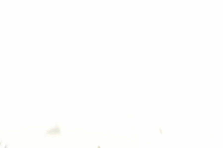 Seoul Tử Linh Sư Chap 76.5 - Next Chap 77.5