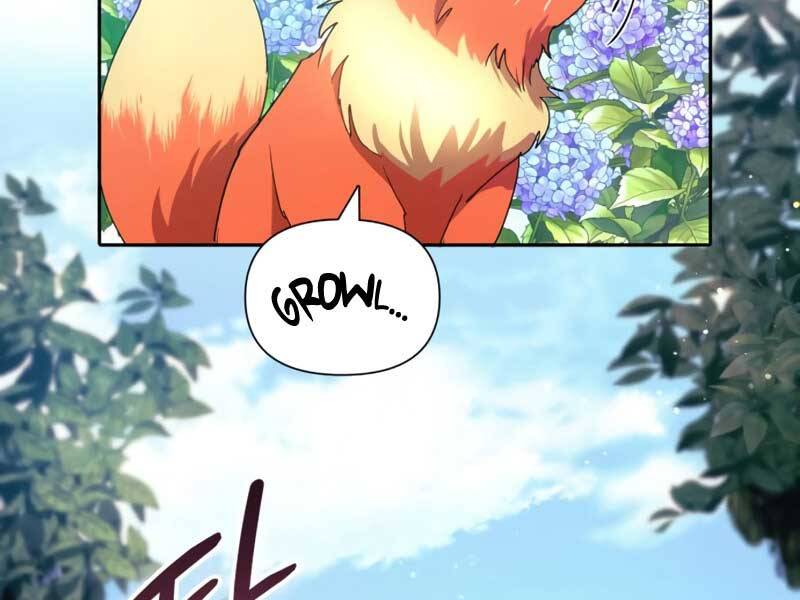 Những Ranker Cấp S Mà Tôi Nuôi Dưỡng Chap 46 - Next Chap 47