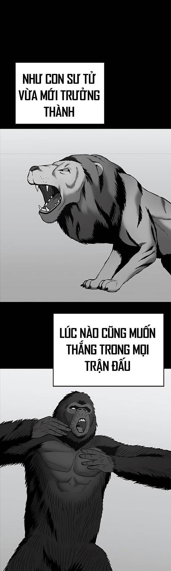Giang Hồ Thực Thi Công Lý Chap 49 - Next Chap 50
