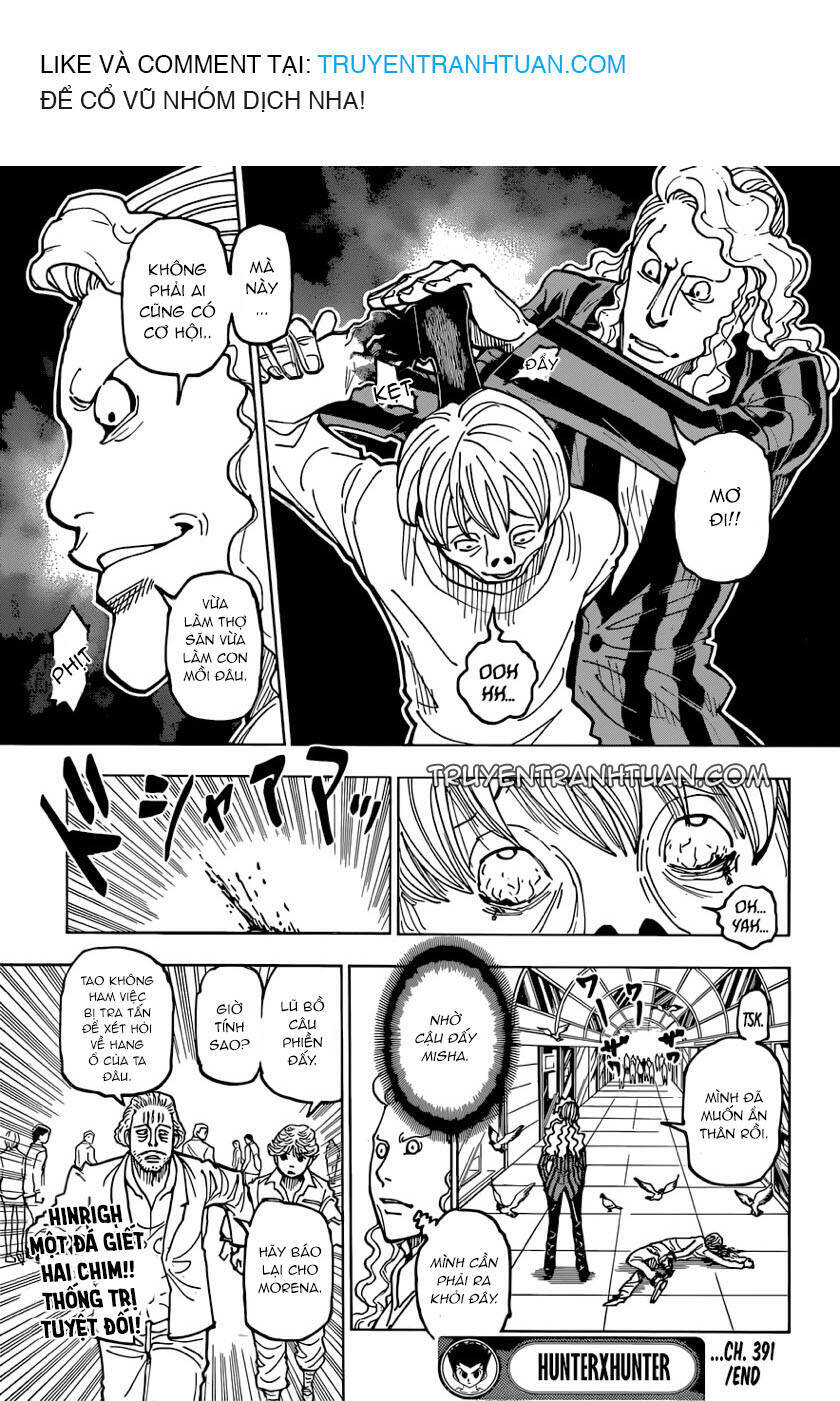 Hunter x Hunter Chap 391 - Next Chap 392