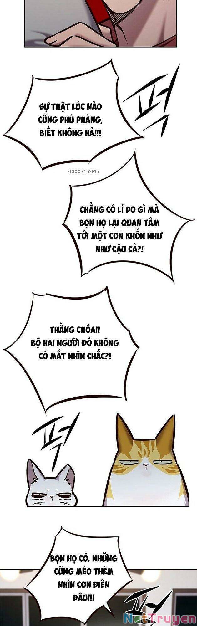 Hoá Thân Thành Mèo Chap 223 - Next Chap 224