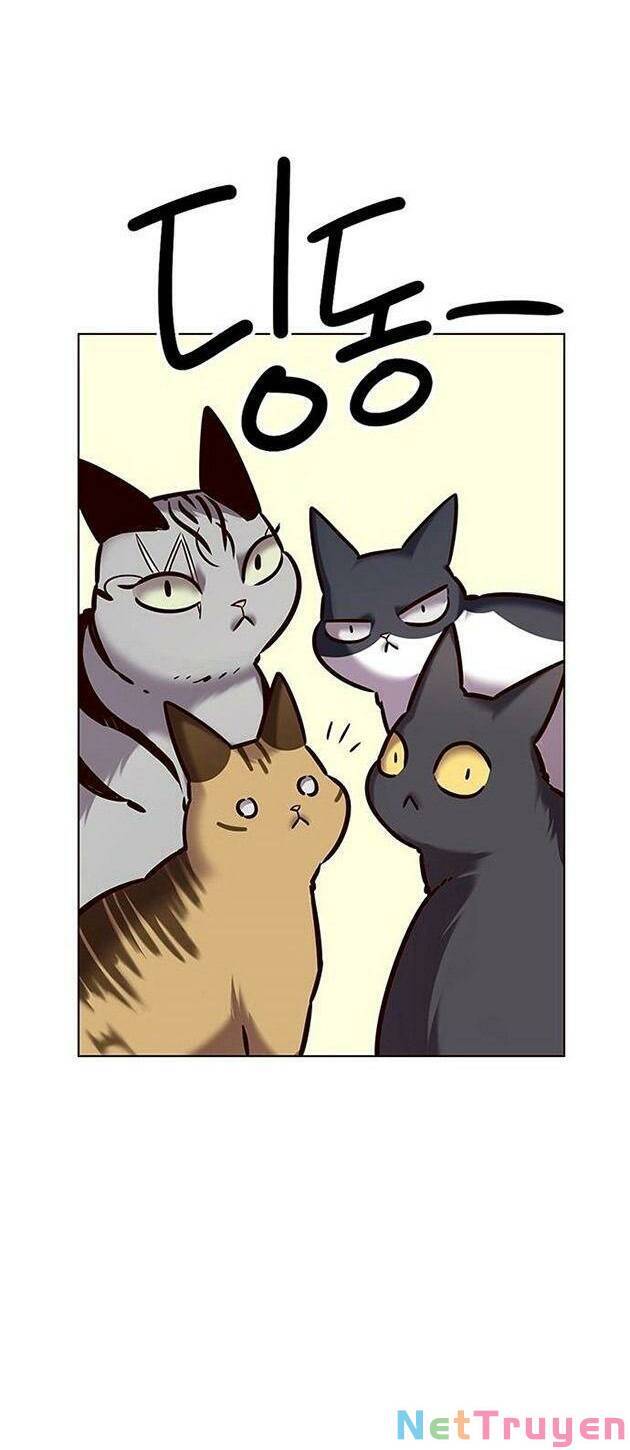 Hoá Thân Thành Mèo Chap 223 - Next Chap 224