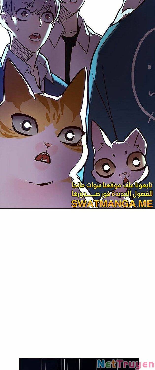 Hoá Thân Thành Mèo Chap 223 - Next Chap 224