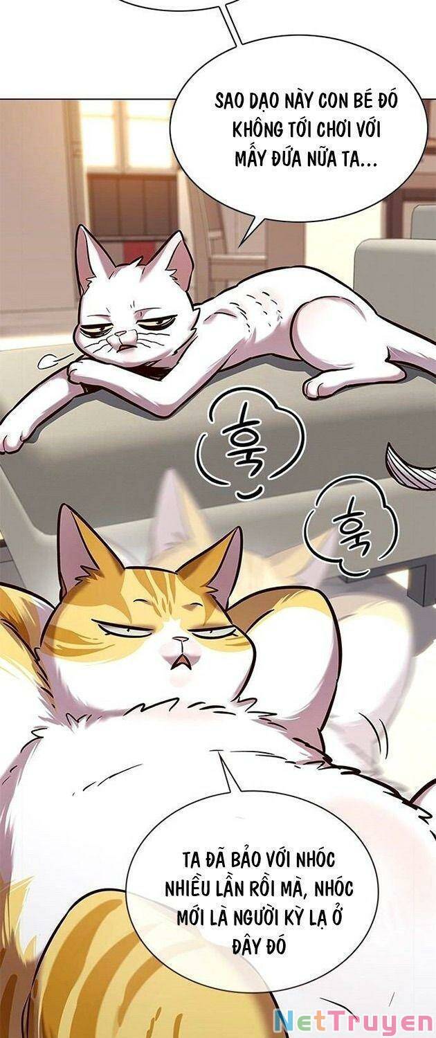 Hoá Thân Thành Mèo Chap 225 - Next Chap 226