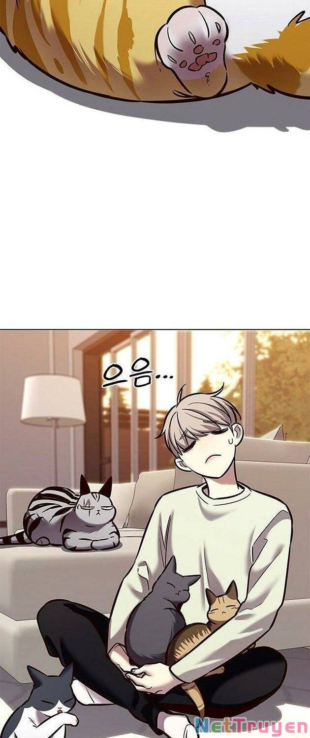Hoá Thân Thành Mèo Chap 225 - Next Chap 226
