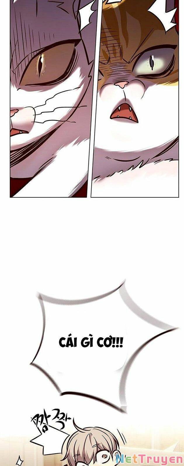 Hoá Thân Thành Mèo Chap 225 - Next Chap 226