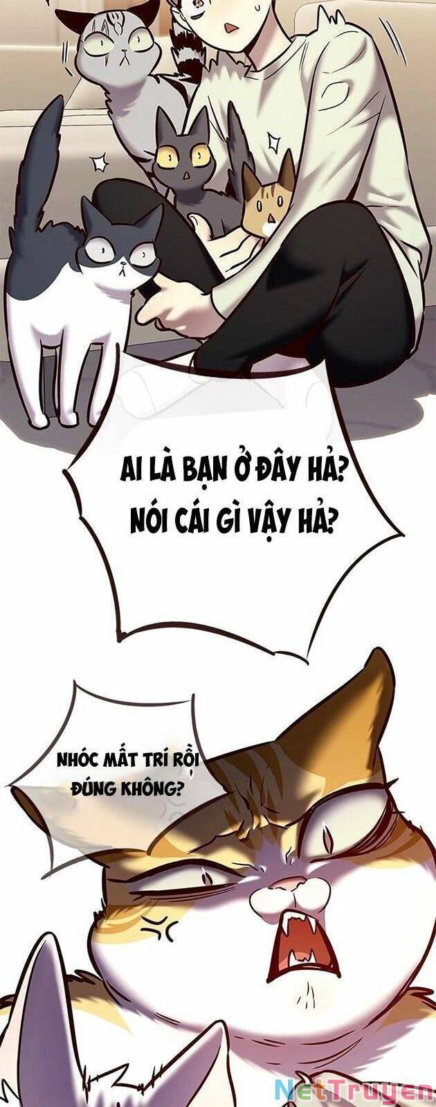 Hoá Thân Thành Mèo Chap 225 - Next Chap 226