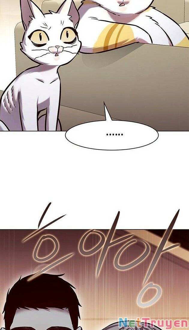 Hoá Thân Thành Mèo Chap 226 - Next Chap 227