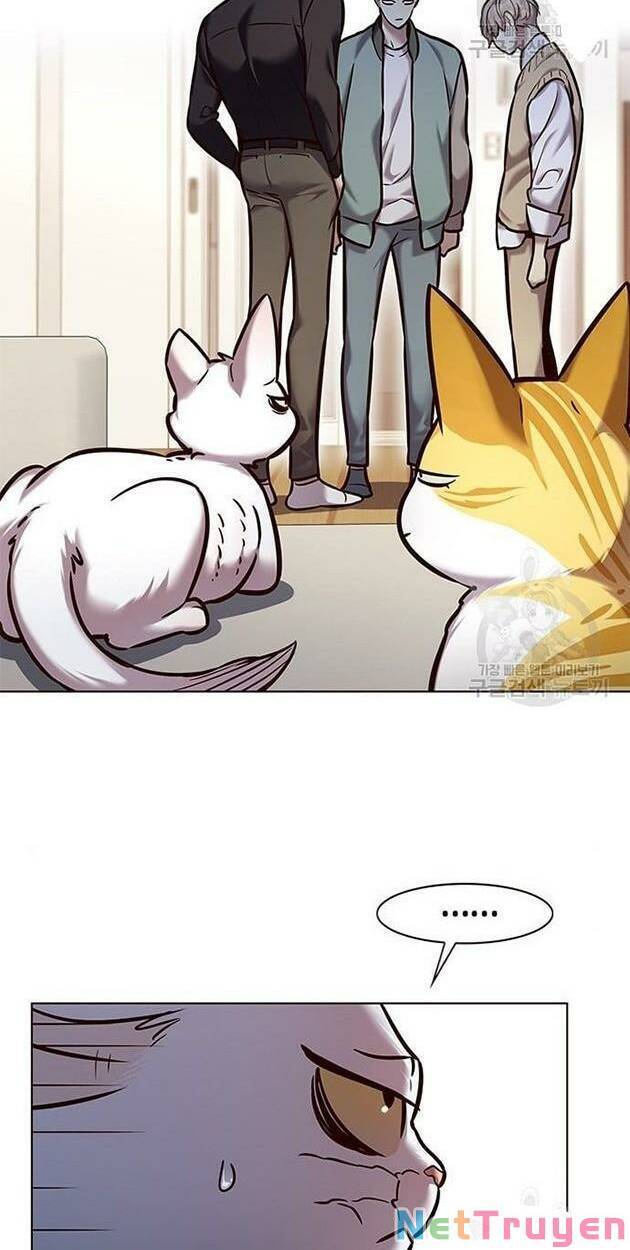 Hoá Thân Thành Mèo Chap 228 - Next Chap 229