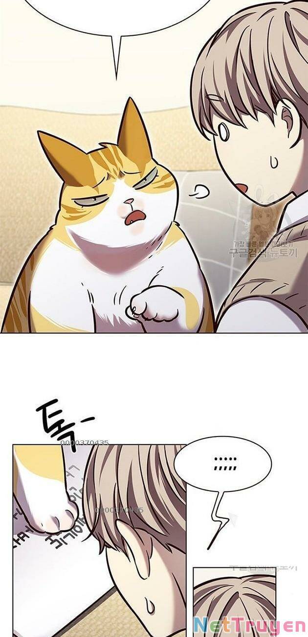 Hoá Thân Thành Mèo Chap 228 - Next Chap 229