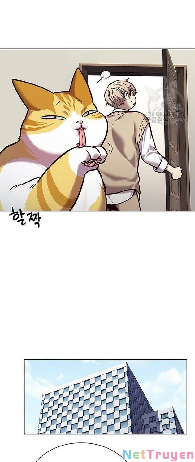 Hoá Thân Thành Mèo Chap 228 - Next Chap 229