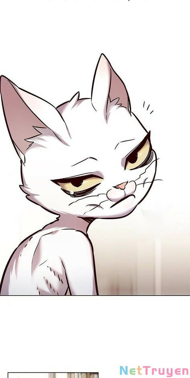 Hoá Thân Thành Mèo Chap 228 - Next Chap 229
