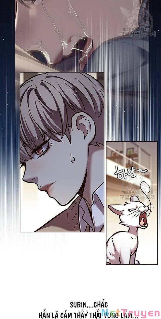 Hoá Thân Thành Mèo Chap 228 - Next Chap 229