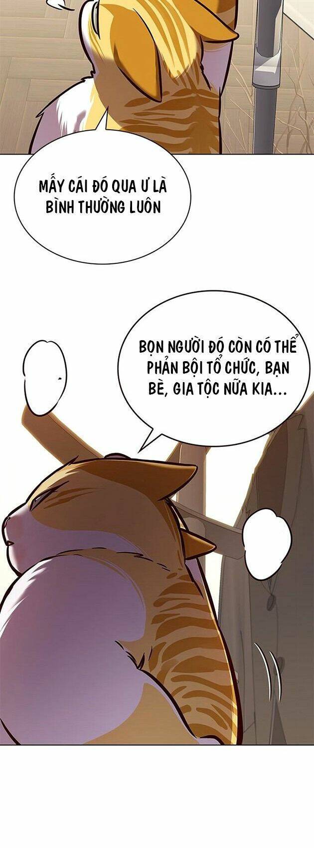 Hoá Thân Thành Mèo Chap 218 - Next Chap 219