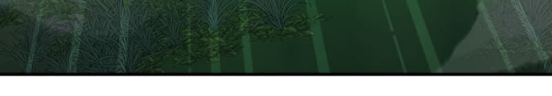 Tôi Là Thợ Săn Có Kĩ Năng Tự Sát Cấp Sss Chap 11 - Next Chap 12