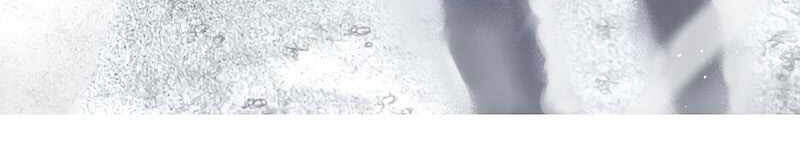 Tôi Là Thợ Săn Có Kĩ Năng Tự Sát Cấp Sss Chap 54 - Next Chap 55