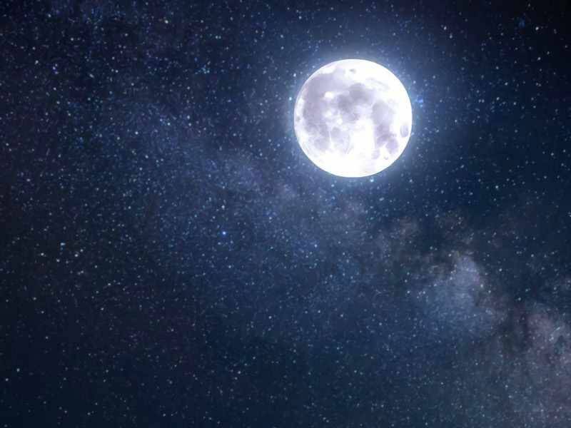 Tôi Là Thợ Săn Có Kĩ Năng Tự Sát Cấp Sss Chap 71 - Next Chap 72