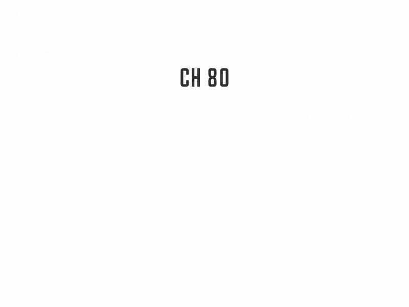 Tôi Là Thợ Săn Có Kĩ Năng Tự Sát Cấp Sss Chap 80 - Next Chap 81