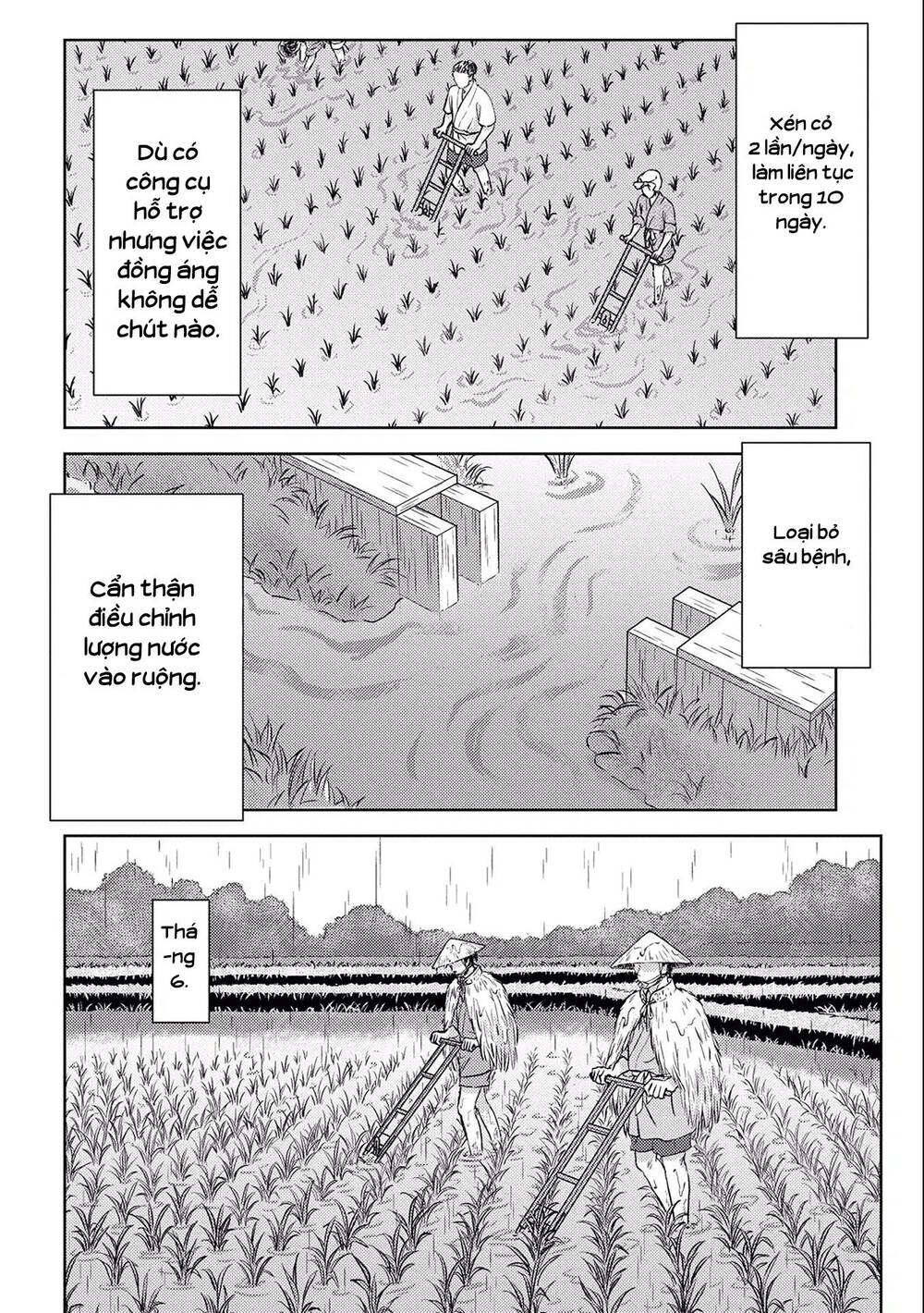 Sengoku Komachi Kurou Tan! Chap 6 - Next Chap 7
