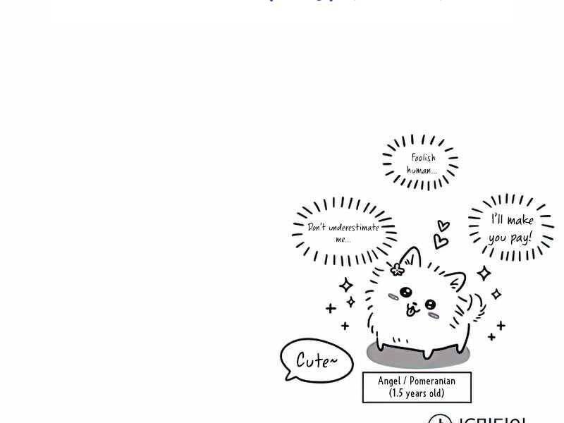 Giáo Sư Gián Điệp Chap 11 - Next Chap 12
