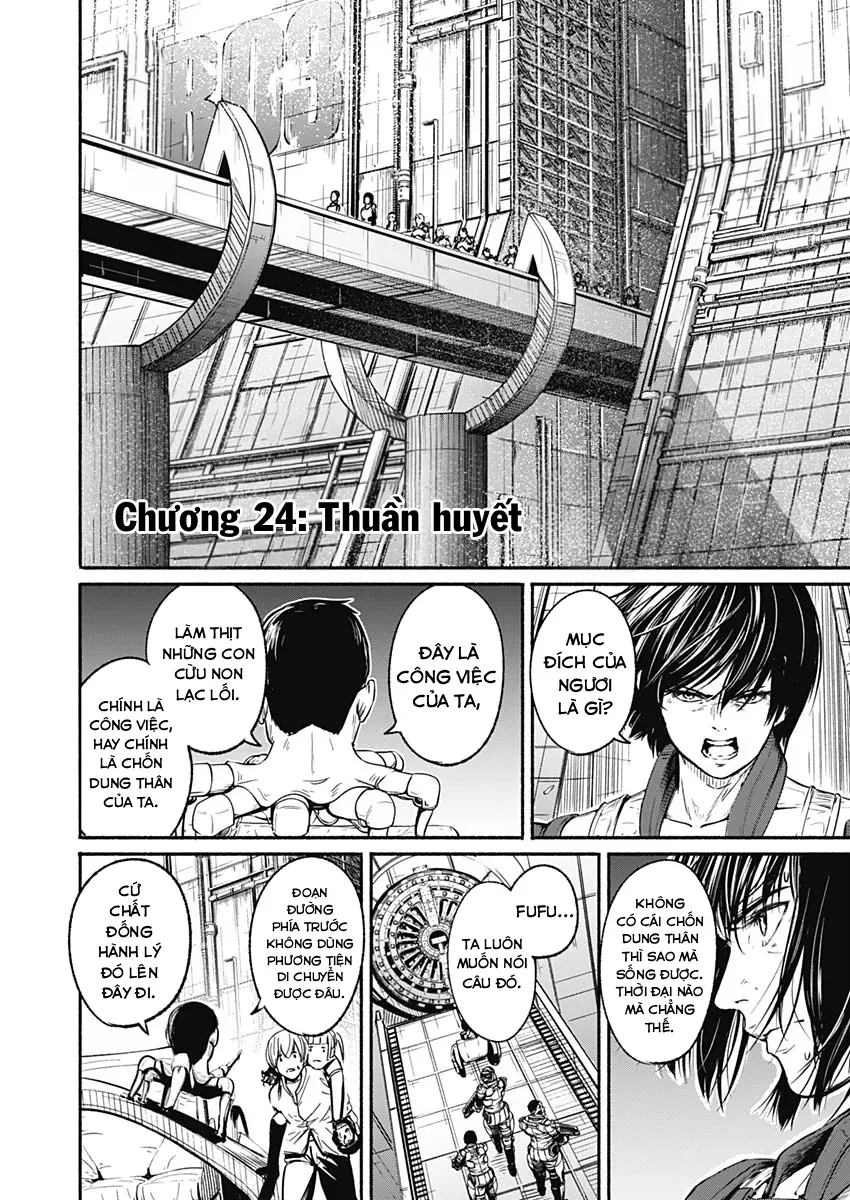 Alma Chap 24 - Next Chap 25