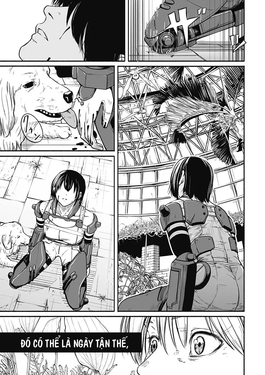 Alma Chap 24 - Next Chap 25