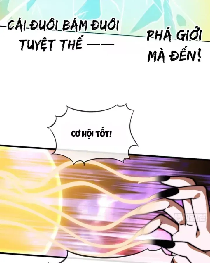 Ta Có Một Sơn Trại Chap 1242 - Next Chap 1243