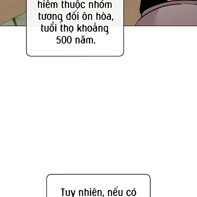 Anh Hùng Mạnh Nhất Trở Lại Chap 243 - Next Chap 244