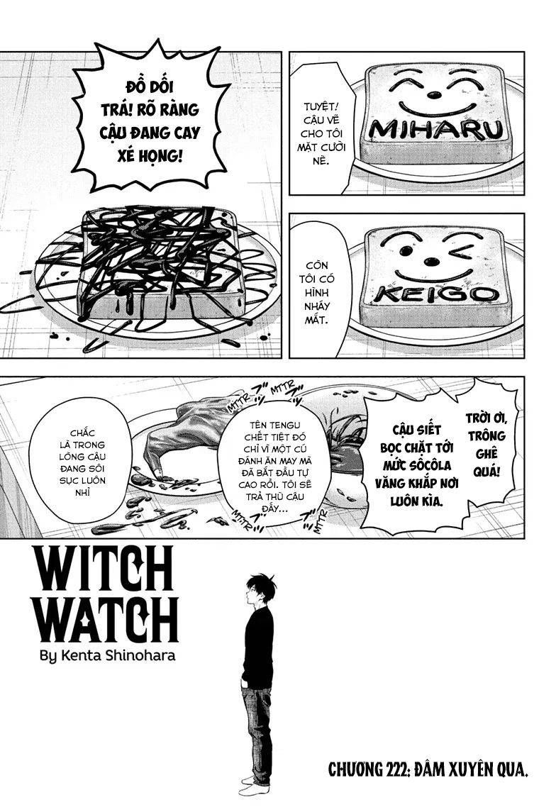 Kẻ Bảo Vệ Phù Thủy Là Một Orge Chap 222 - Next Chap 223