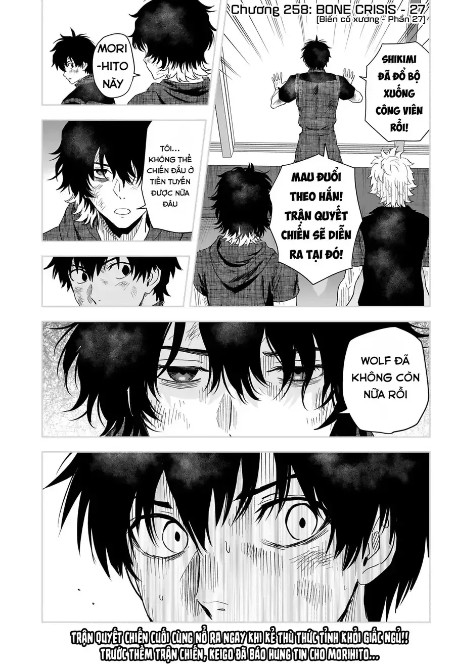 Kẻ Bảo Vệ Phù Thủy Là Một Orge Chap 258 - Next Chap 259